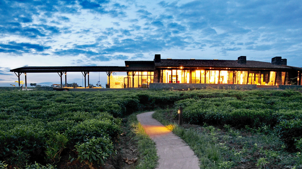 Gorilla Leisure Lodge4 Gorilla leisure lodge