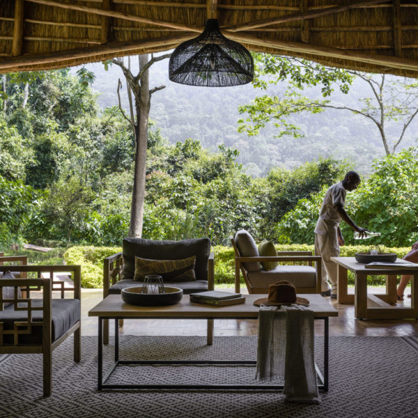 Key Species In Bwindi &Amp; Mgahinga 92 Key Species in Bwindi & Mgahinga