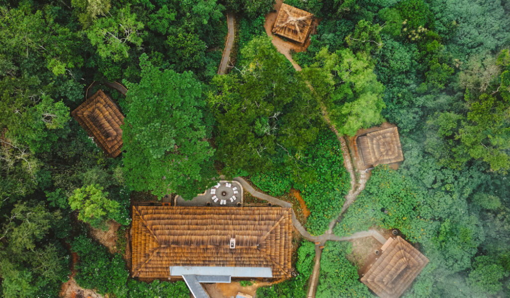 Default Sanctuary gorilla forest camp