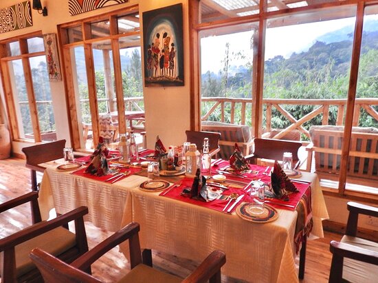 Key Species In Bwindi &Amp; Mgahinga 86 Key Species in Bwindi & Mgahinga