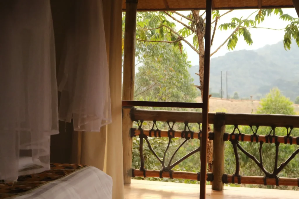 Key Species In Bwindi &Amp; Mgahinga 85 Key Species in Bwindi & Mgahinga