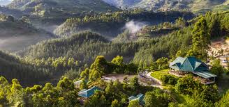 Key Species In Bwindi &Amp; Mgahinga 81 Key Species in Bwindi & Mgahinga