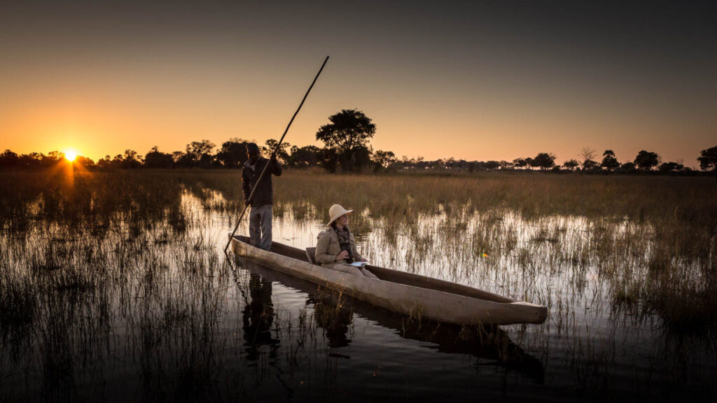 Travel Insurance for Africa