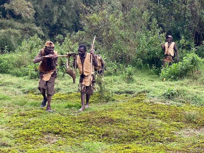 Mgahinga Gorilla National Park Visit (11) Mgahinga Gorilla National Park