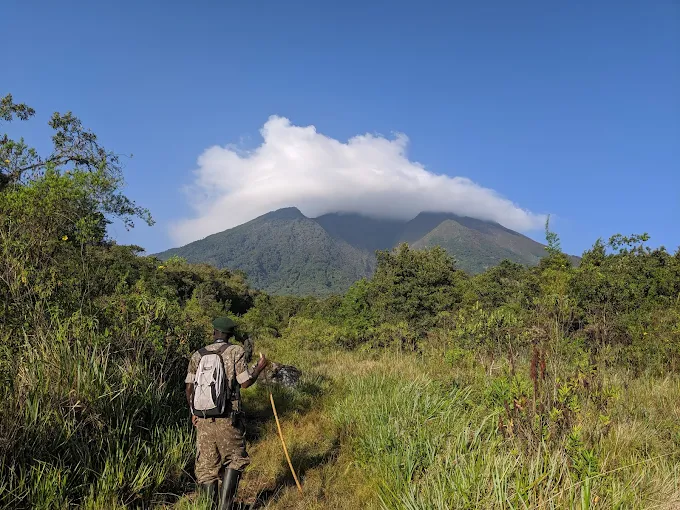 Mgahinga Gorilla National Park Visit (17) Mgahinga Gorilla National Park