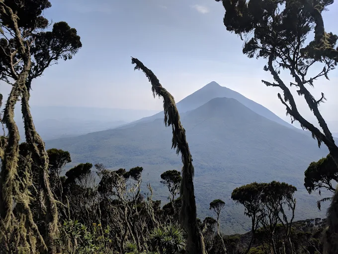 Mgahinga Gorilla National Park Visit (18) Mgahinga Gorilla National Park