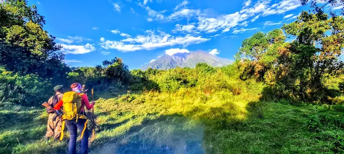 Mgahinga Gorilla National Park Visit (7) Mgahinga Gorilla National Park