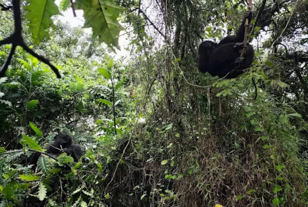 World Wildlife Day 2026