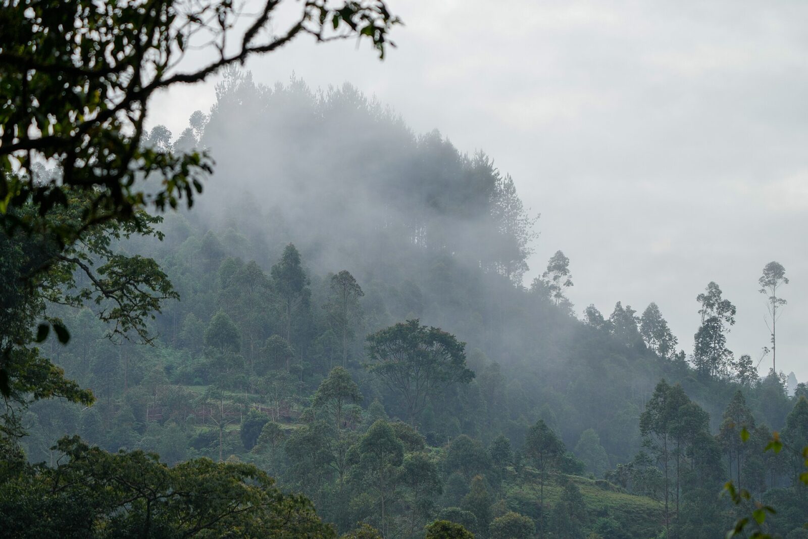 Africa Is Calling: Why Uganda Is the Answer You Were Looking For