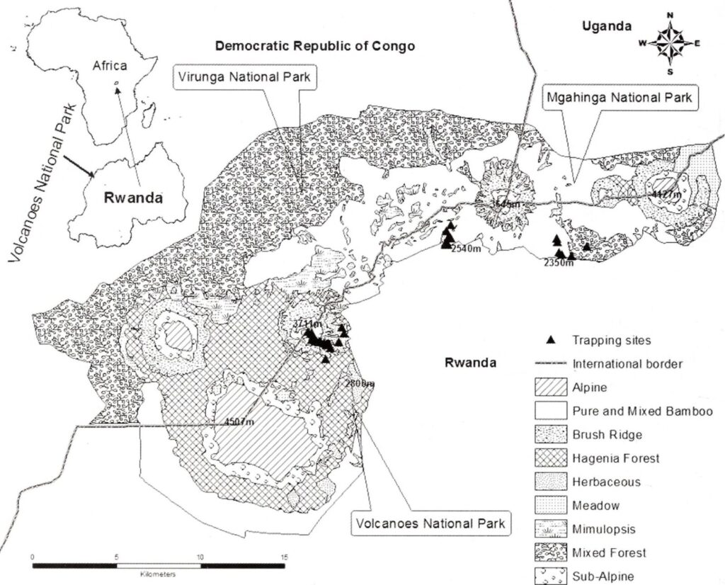 Mgahinga Gorilla National Park: Uganda s Volcano Park