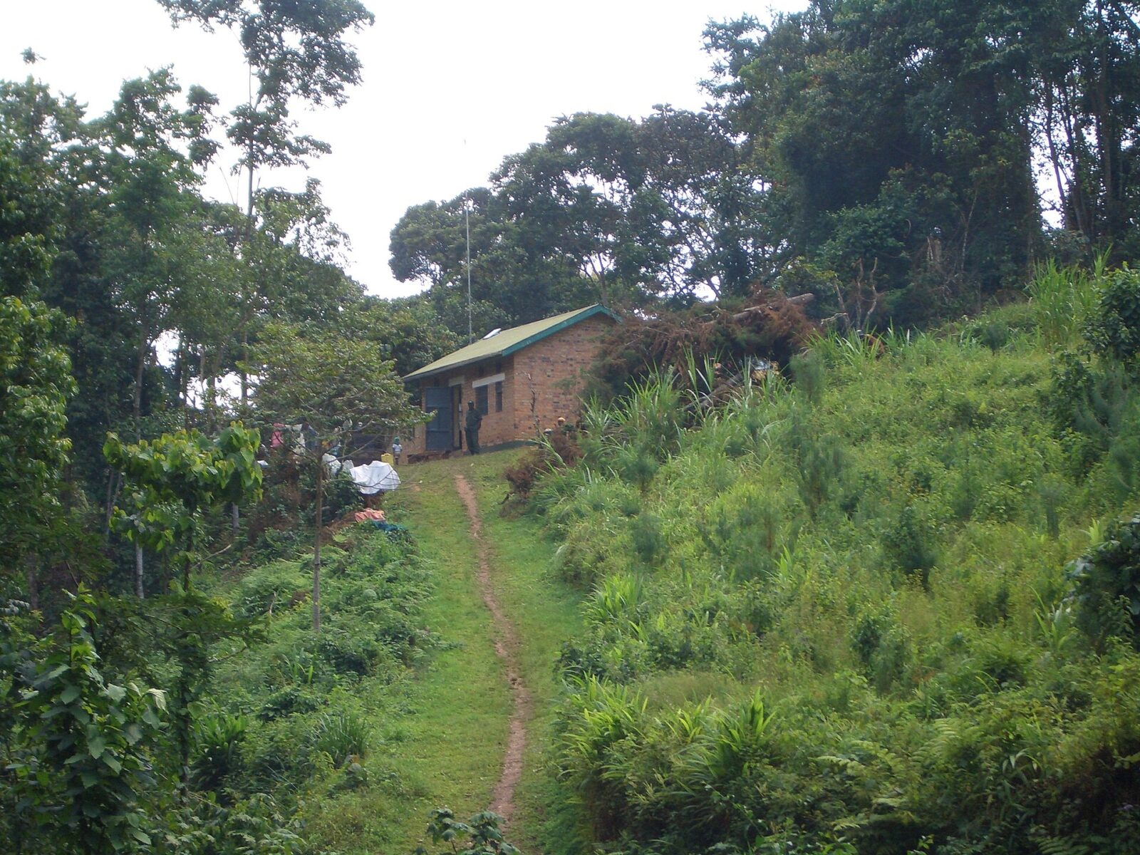 Is the Drive to Bwindi Really 8 Hours? All the Options Explained