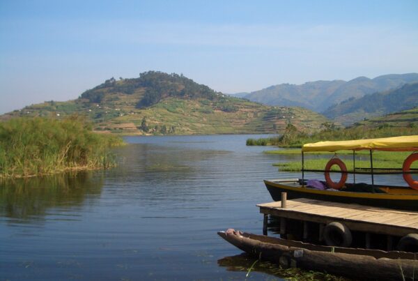 How Gorilla Permit Fees Paid for 3 Local Schools in Bwindi District