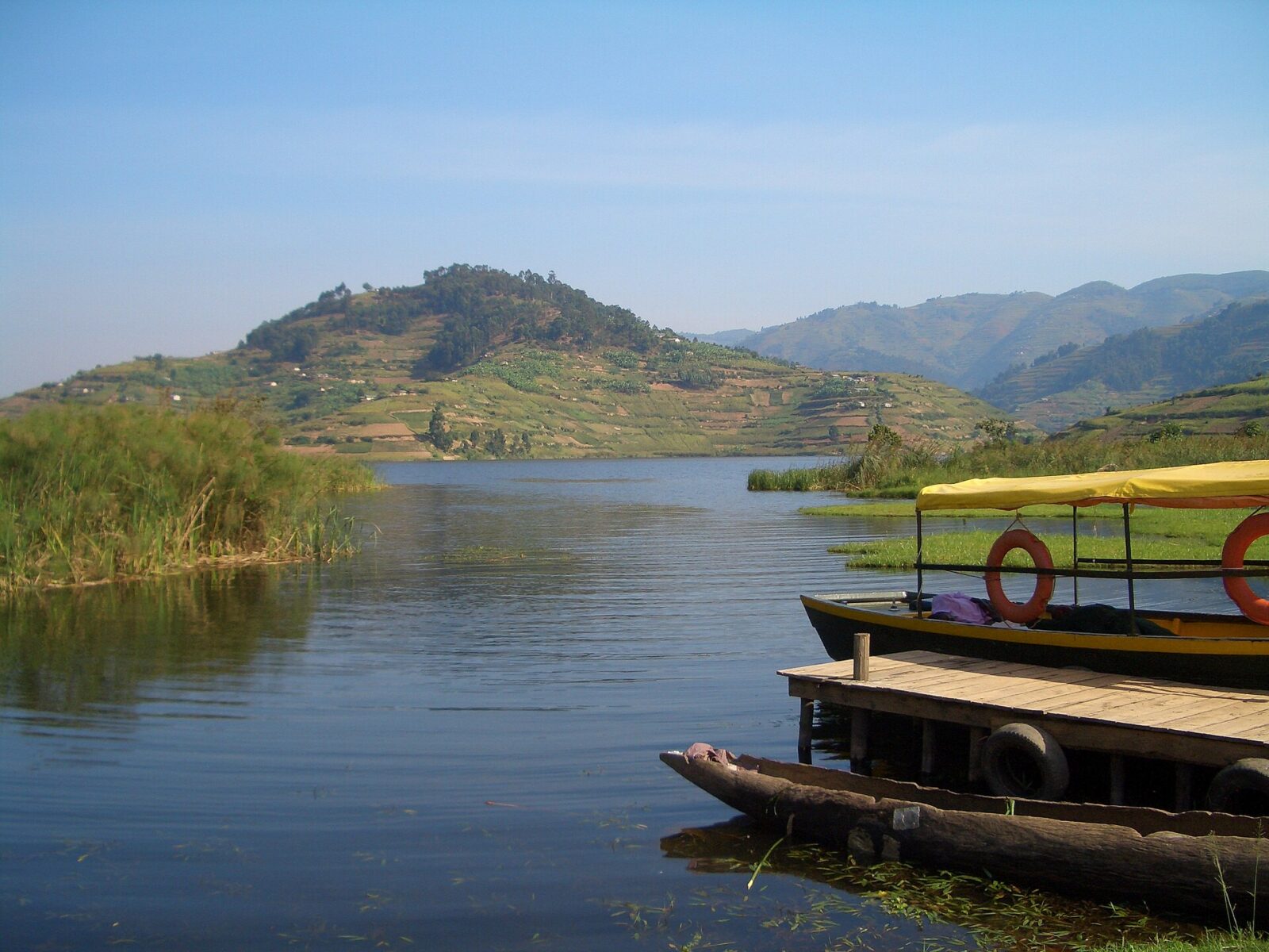 How Gorilla Permit Fees Paid for 3 Local Schools in Bwindi District
