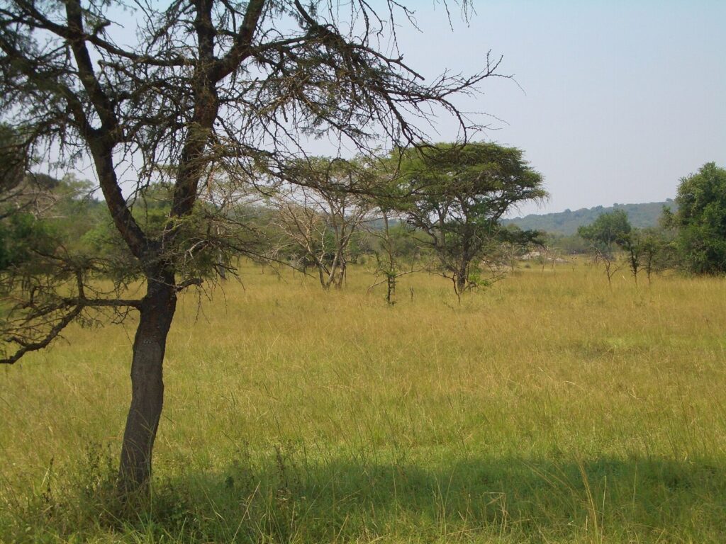 The Community Hospital Built by Gorilla Trekking Money in Buhoma