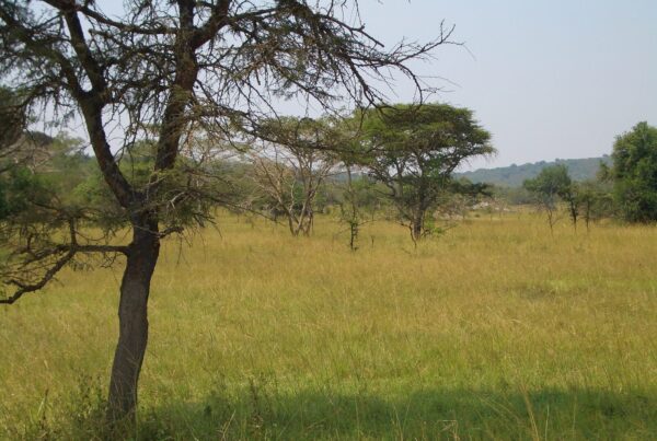 The Community Hospital Built by Gorilla Trekking Money in Buhoma