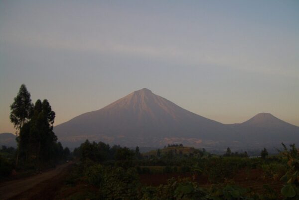 The Porters of Bwindi: The Unsung Heroes of Every Gorilla Trek