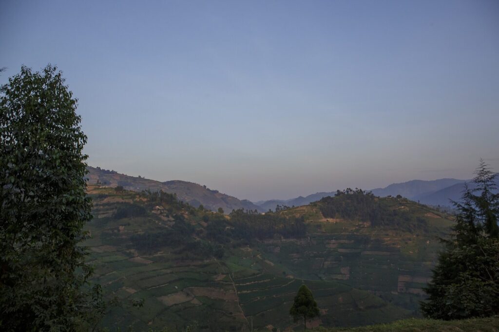 Gorilla Trekking Uganda for Divers: Combine Zanzibar and Bwindi Forest