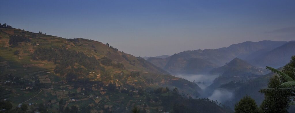 What Makes Bwindi Different From Every Other African Forest