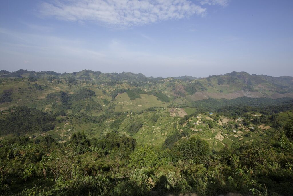 A Gorilla Was Snared in Bwindi: How the Vet Team Saved Her