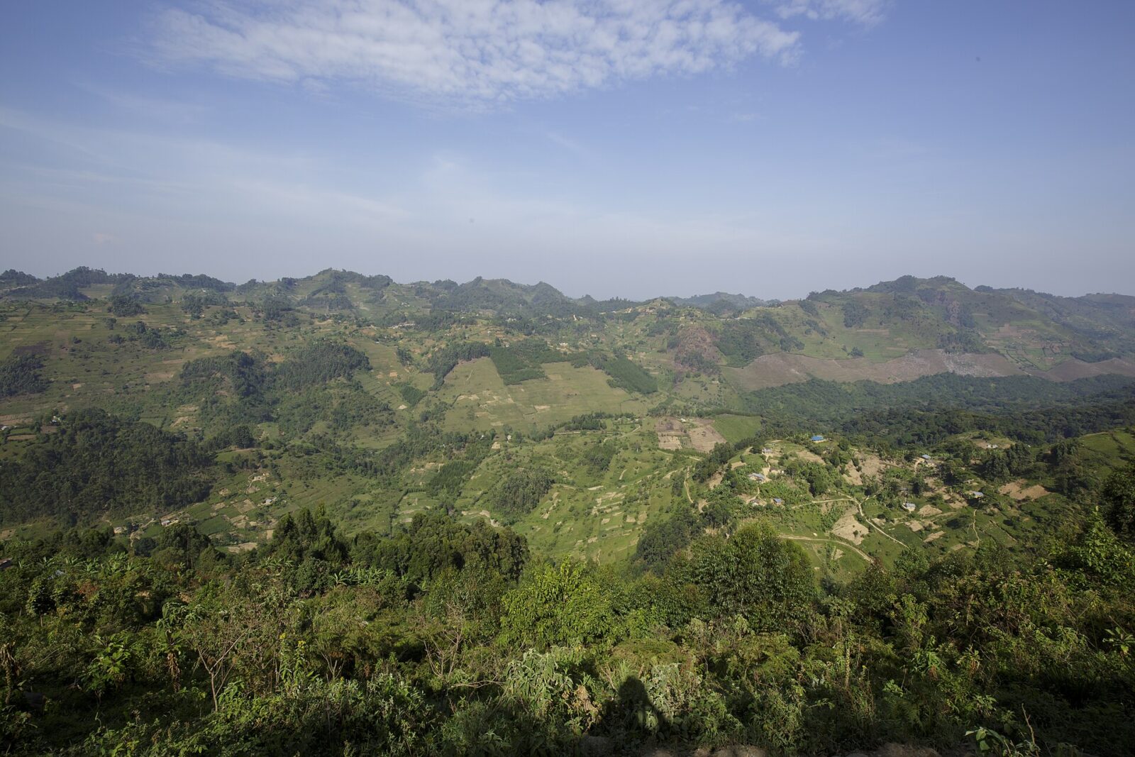 A Gorilla Was Snared in Bwindi: How the Vet Team Saved Her