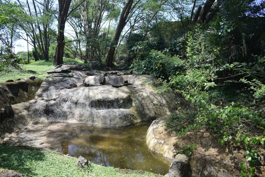 Kigali to Kampala: The Overland Route to Uganda Guide