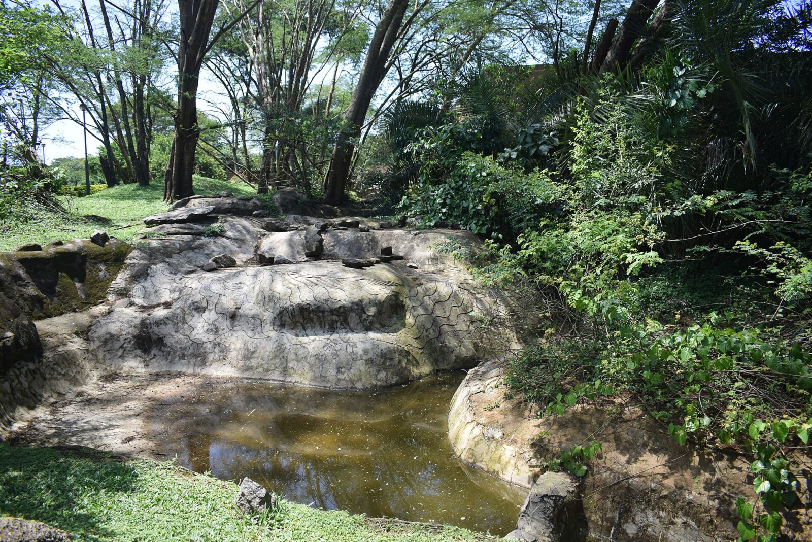 Kigali to Kampala: The Overland Route to Uganda Guide