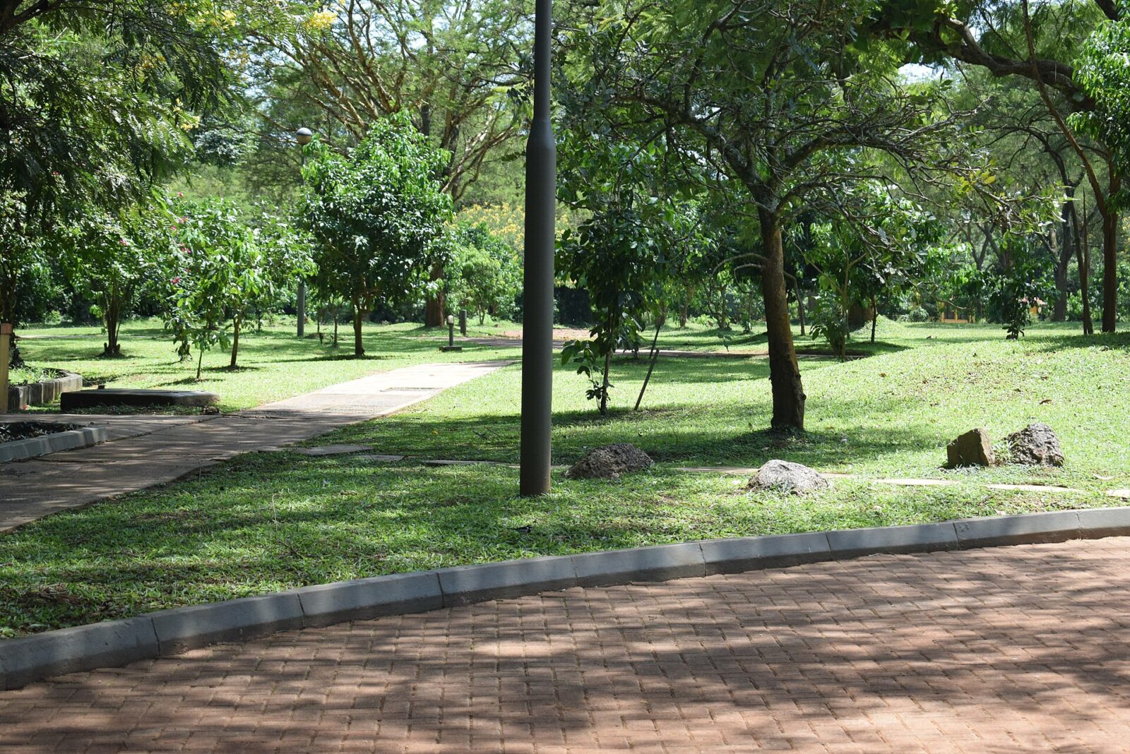 Cheapest Flights to Uganda: How to Find the Best Deals