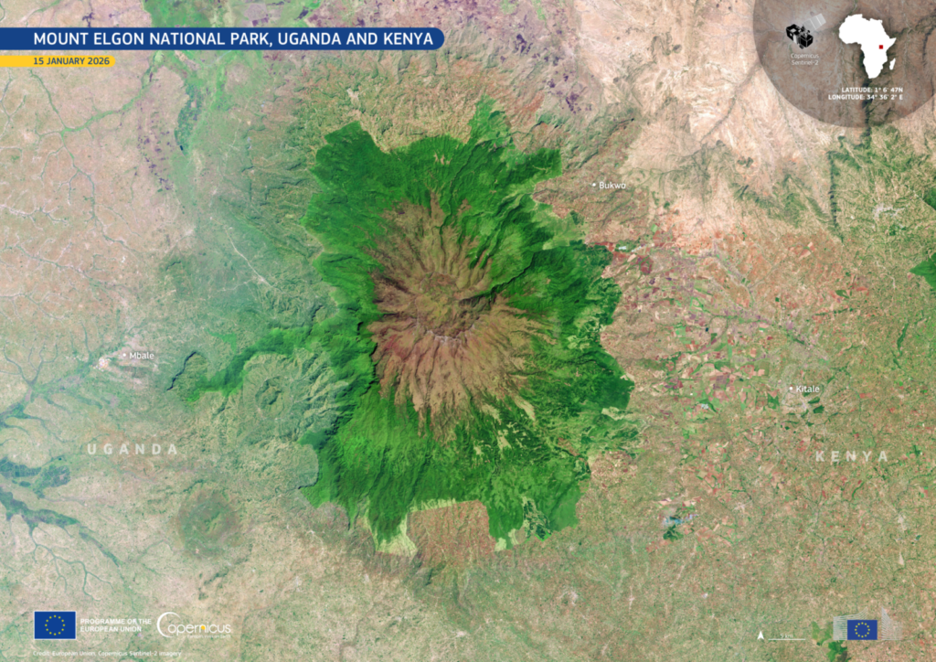 Nkuringo Sector Bwindi: The Most Remote Gorilla Trek