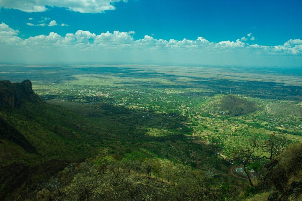 Ruhija Sector Bwindi: Birding and Gorillas in East Bwindi
