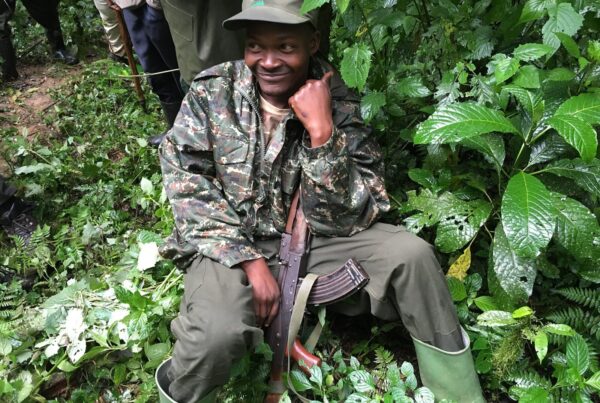 I Have Bad Knees: Can I Still Do Gorilla Trekking in Uganda?