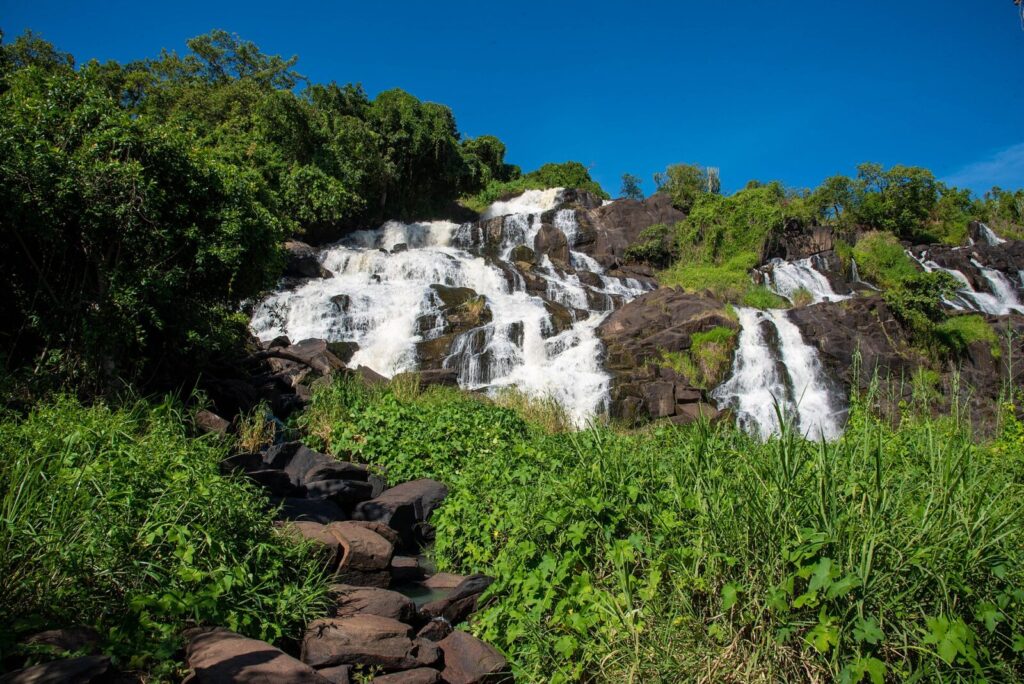 Best Uganda Safari Books to Read Before You Go