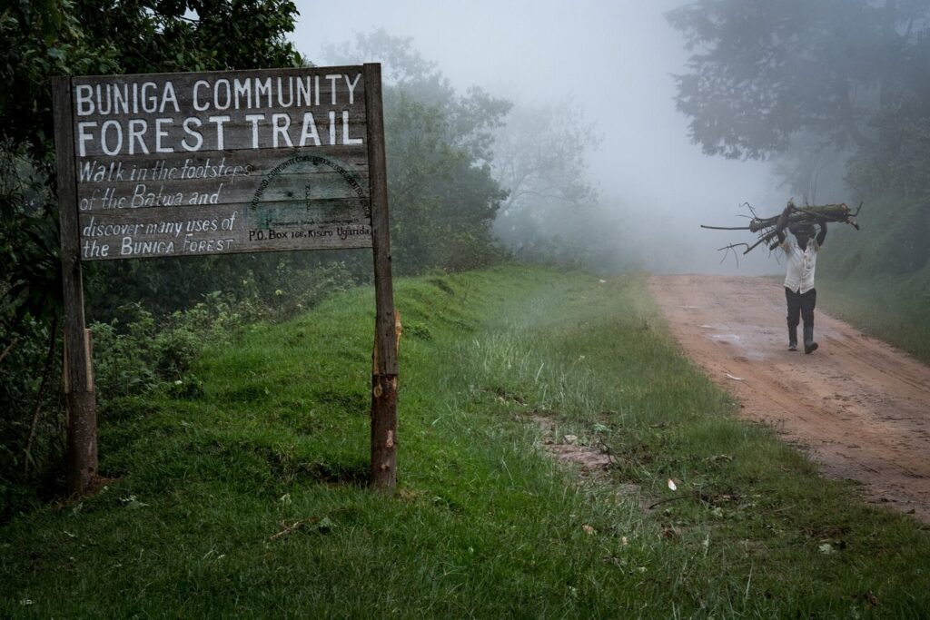 Gorilla Trekking Fitness: How to Prepare Physically for Bwindi