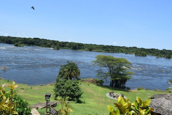 Dubai to Entebbe: Best Flight Routes and Stopover Tips