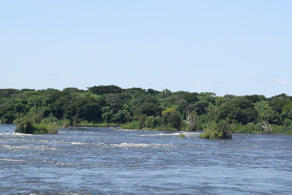 First Safari? Why Uganda in 2026 Is the Best Decision You ll Ever Make
