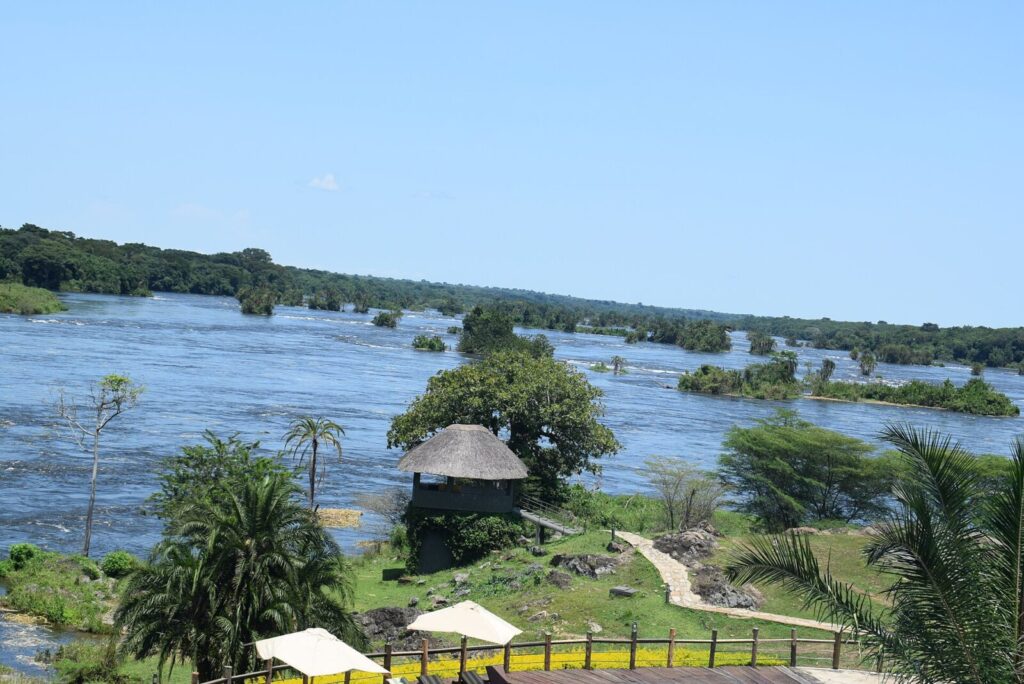 Uganda vs Botswana Safari: Two Very Different African Worlds Compared