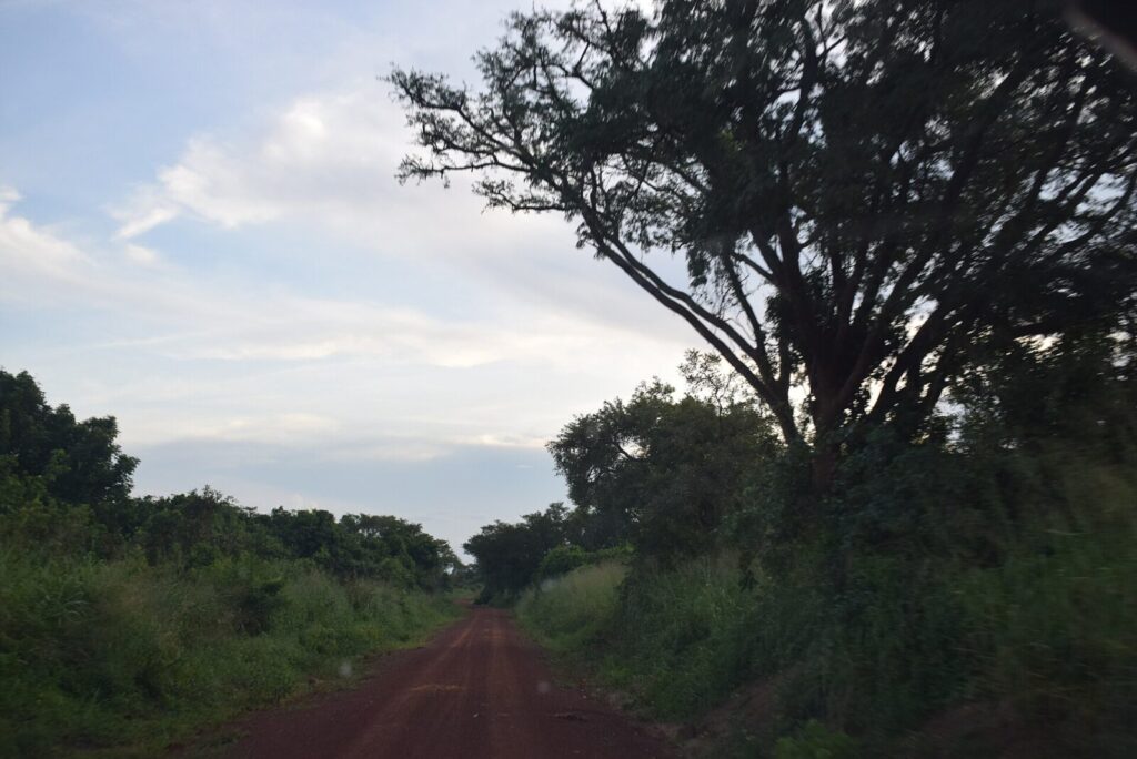 The Ugandan Ranger Family: Three Generations Protecting the Same Forest