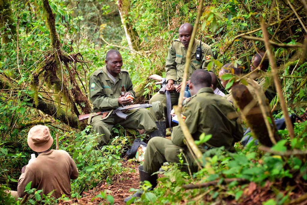Gorilla Trekking FAQs: 50 Most Asked Questions Answered