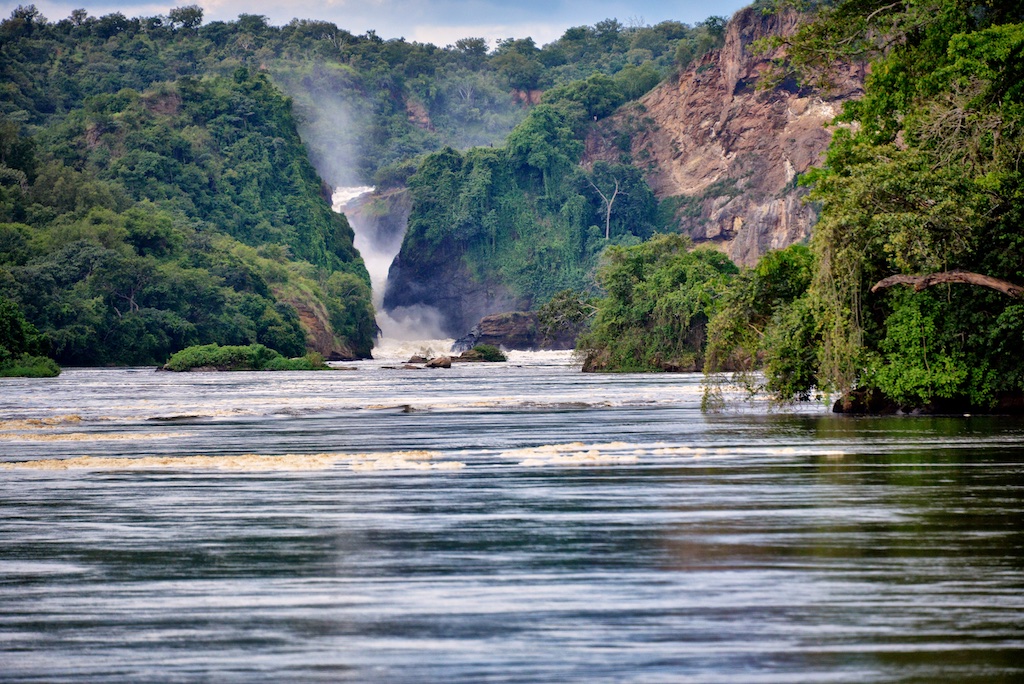 Gorilla Trekking and Nile River Adventure: Combined Trip