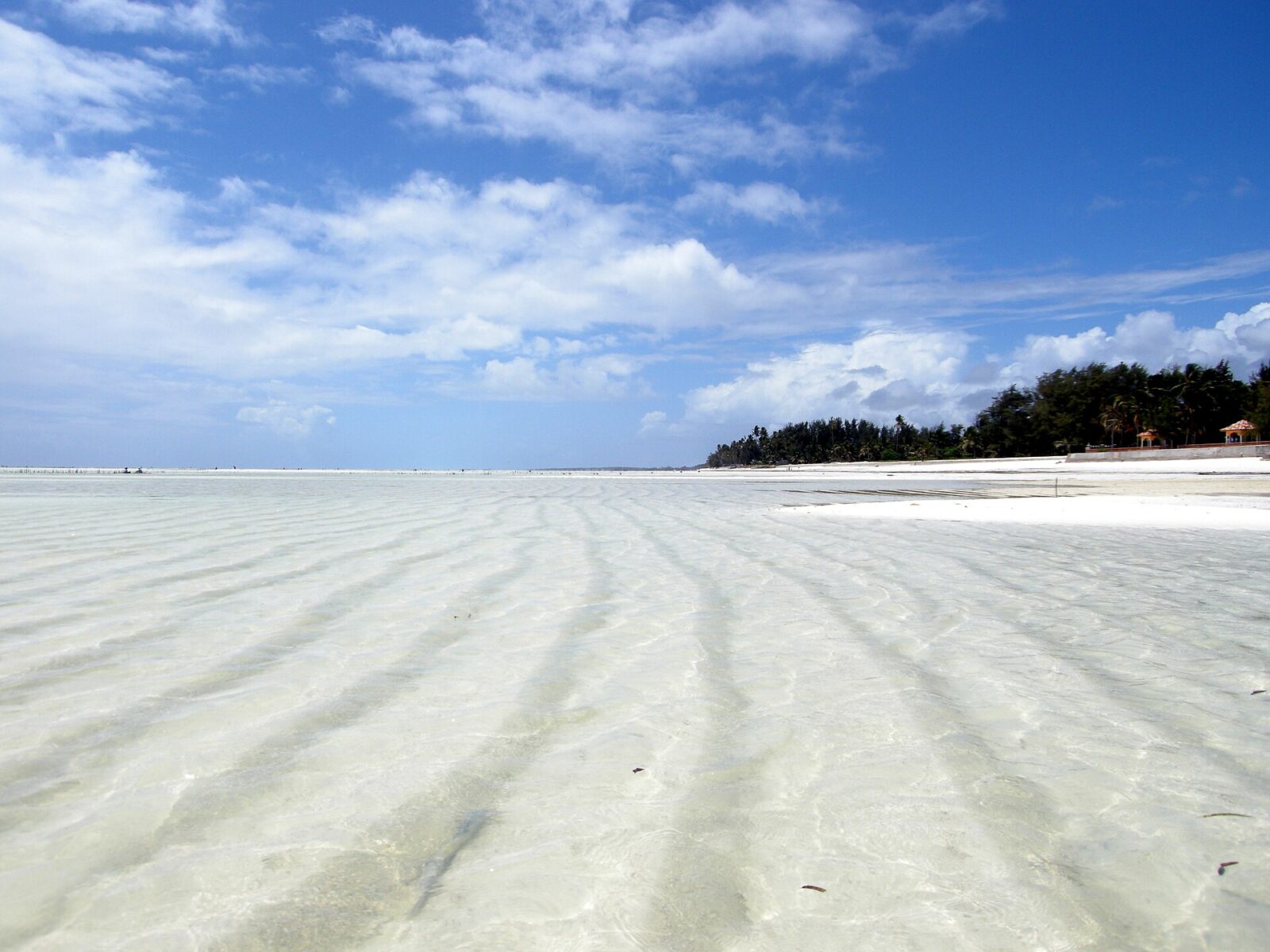 Beach Holidays