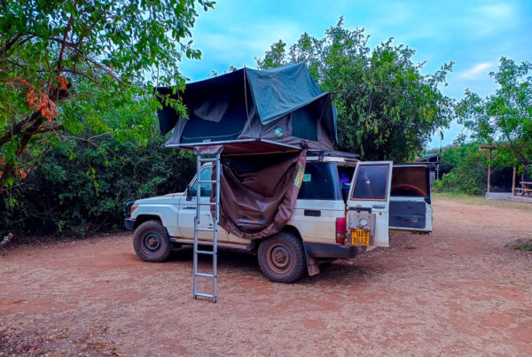 car hire 4x4 drive