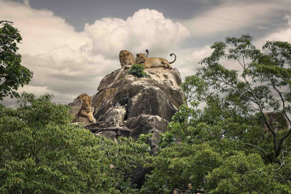 Matheniko Wildlife Reserve