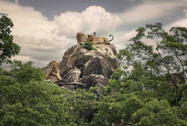 Matheniko Wildlife Reserve