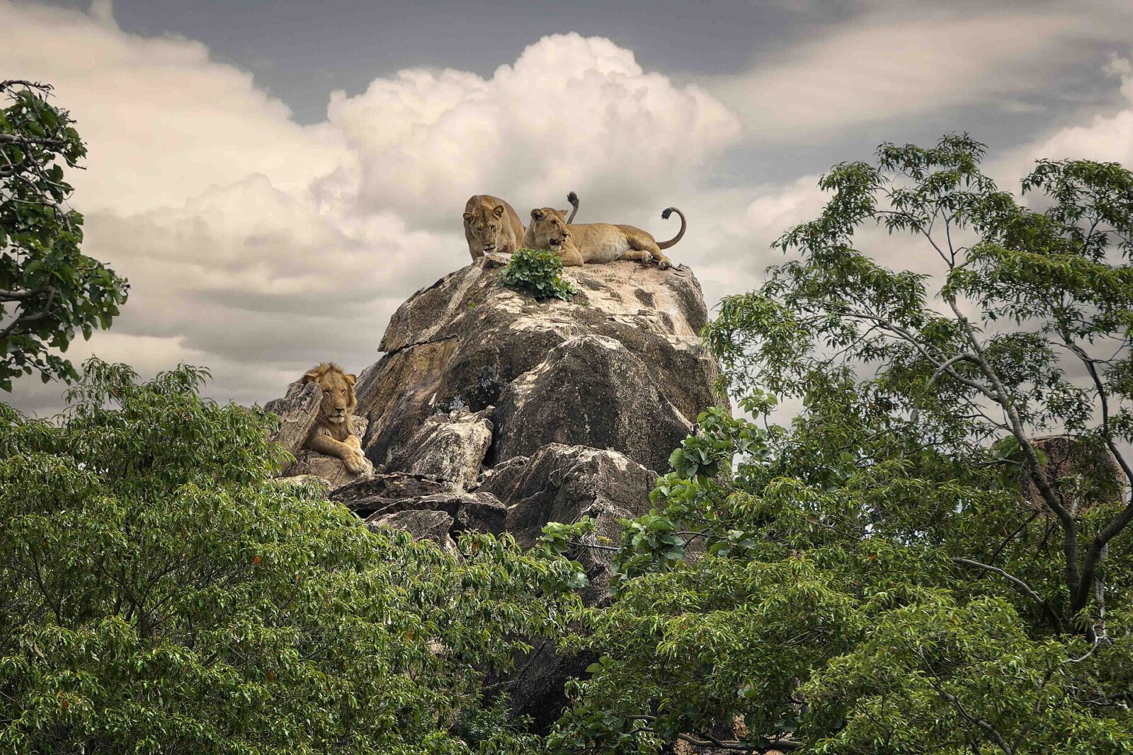 Matheniko Wildlife Reserve