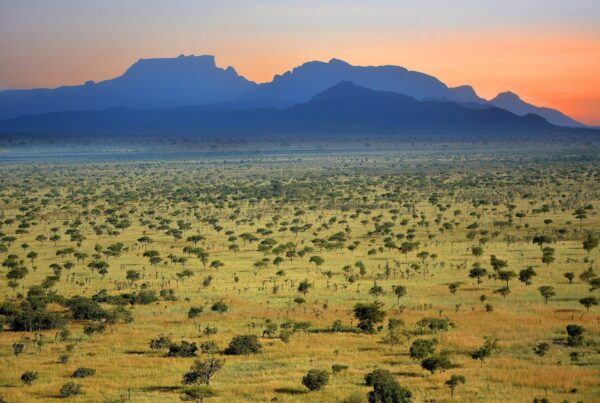 Pian Upe Wildlife Reserve