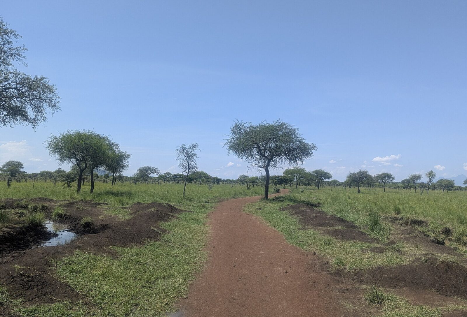 East Madi Wildlife Reserve