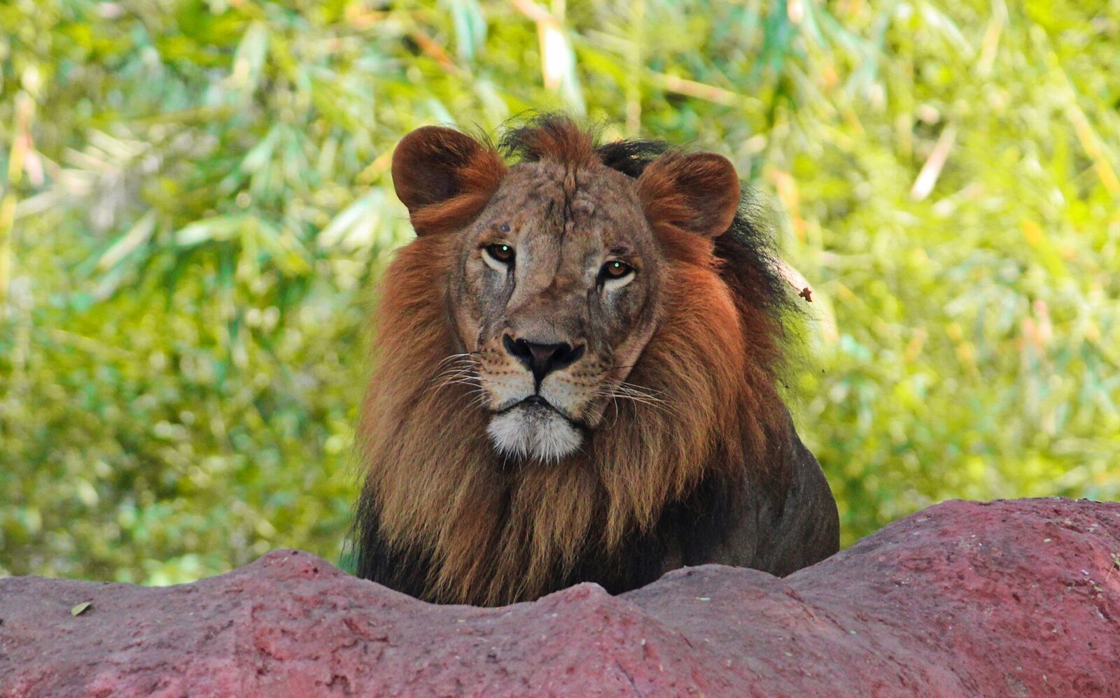 Kabwoya Wildlife Reserve