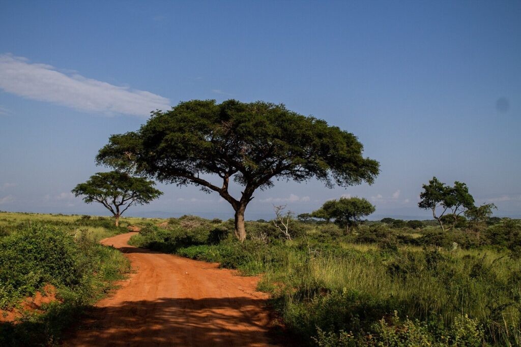 Bugungu Wildlife Reserve
