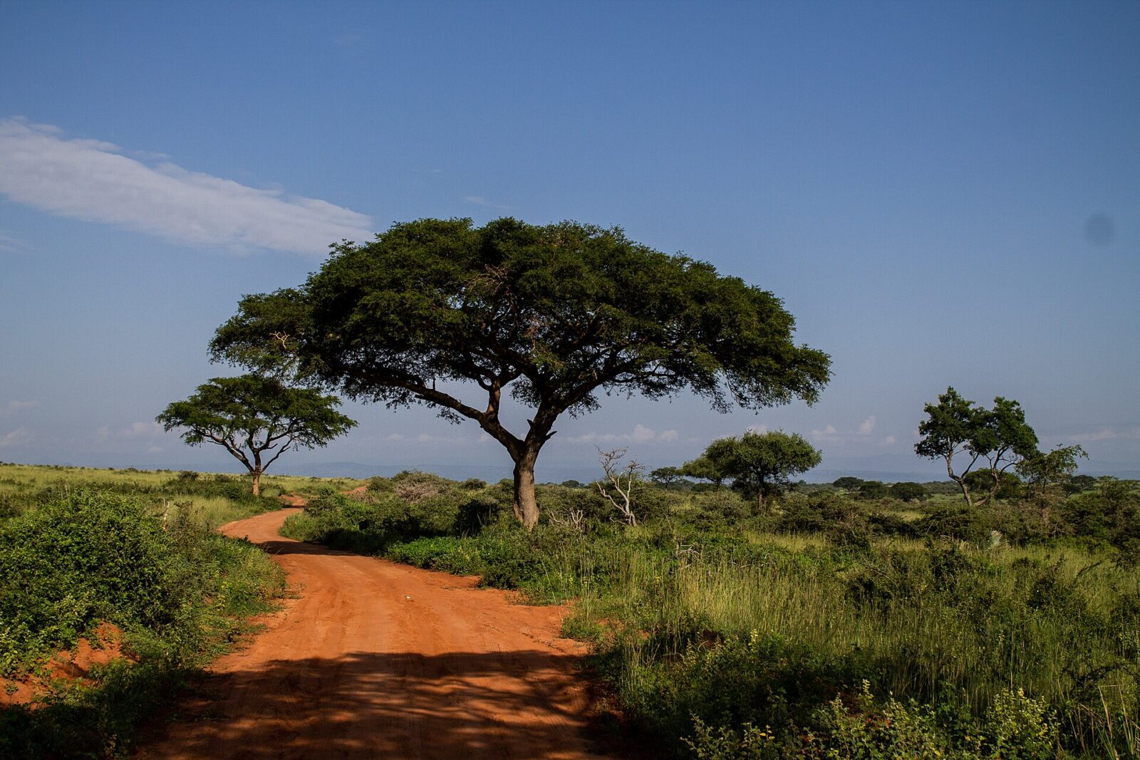 Bugungu Wildlife Reserve