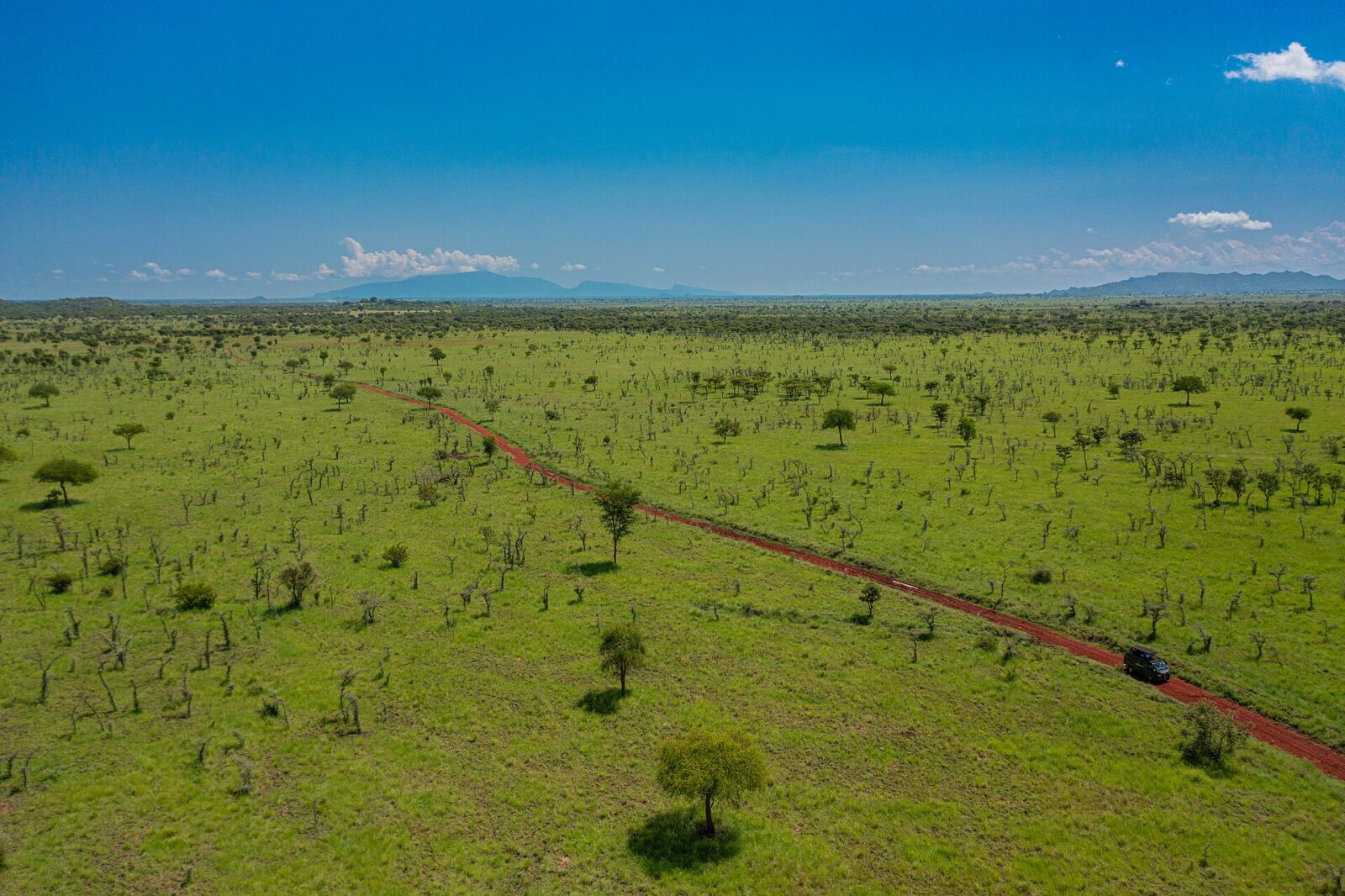 Karuma Wildlife Reserve