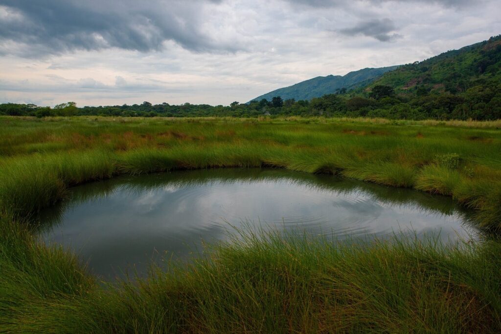 Katonga Wildlife Reserve
